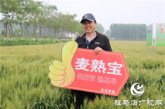 麦熟宝大增产 中原麦区论英雄 ——北沃农业2021麦熟宝观摩会胜利召开