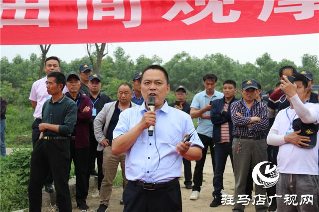 麦熟宝大增产 中原麦区论英雄 ——北沃农业2021麦熟宝观摩会胜利召开