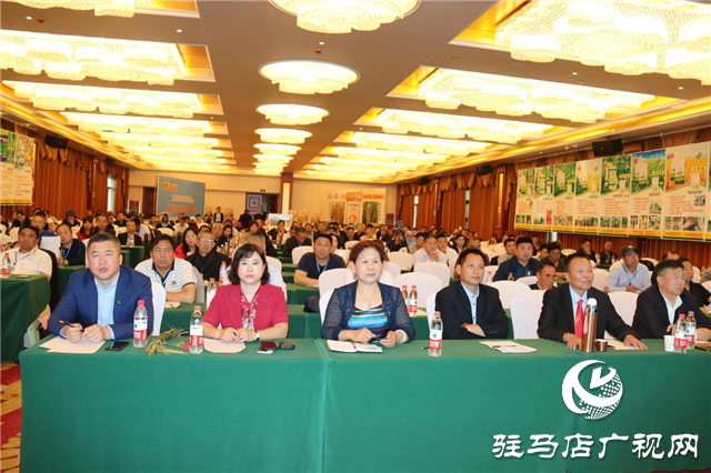 麦熟宝大增产 中原麦区论英雄 ——北沃农业2021麦熟宝观摩会胜利召开