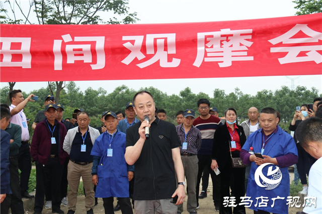 麦熟宝大增产 中原麦区论英雄 ——北沃农业2021麦熟宝观摩会胜利召开