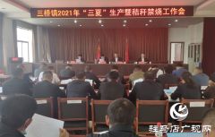 汝南县三桥镇安排部署三夏生产和秸秆禁烧工作