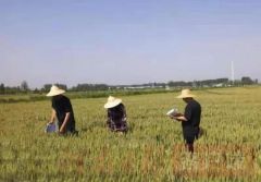 夏粮要增收！固始县都采取了哪些举措，让村民一个劲儿点赞