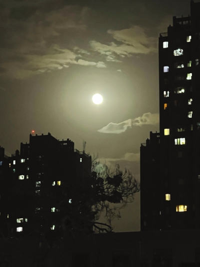 月2.jpg