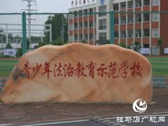 驿城区人民法院开展“六一”送法进校园活动