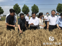 副省长武国定调研驻马店三夏生产