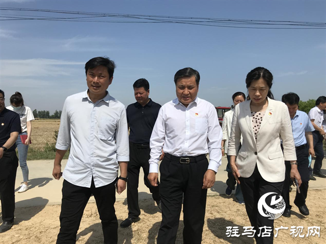 副省长武国定调研驻马店三夏生产
