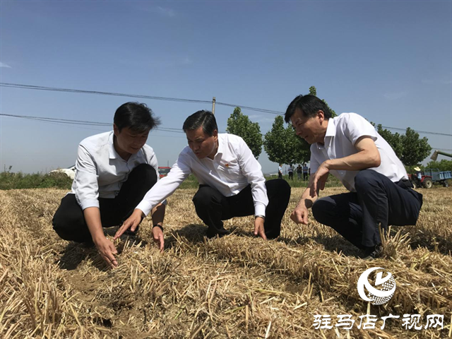 副省长武国定调研驻马店三夏生产