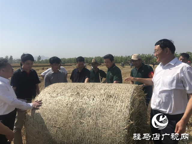 农业农村部农机化司副司长王甲云一行督导小麦机收和机收减损工作