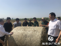 农业农村部农机化司副司长王甲云一行督导小麦机收和机收减损工作