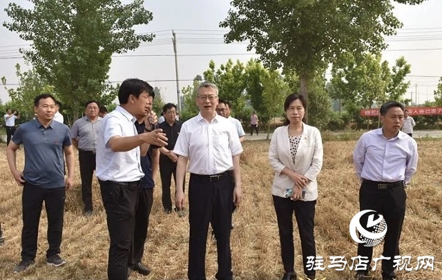 驻马店市委副书记王振利调研遂平县“三夏”生产工作