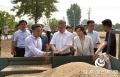 驻马店市委副书记王振利调研遂平县“三夏”生产工作