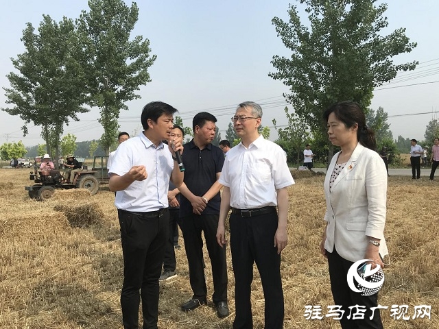 驻马店市委副书记王振利调研遂平县“三夏”生产工作