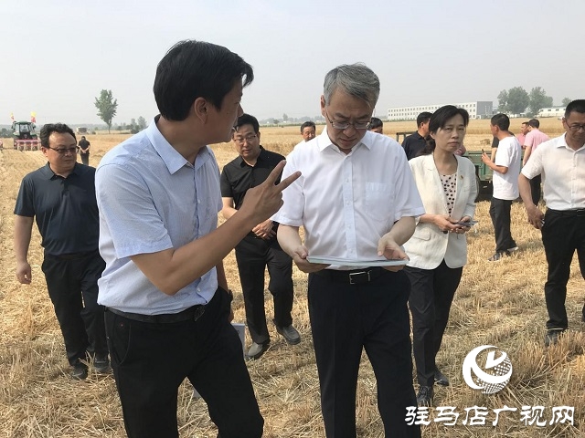 驻马店市委副书记王振利调研遂平县“三夏”生产工作