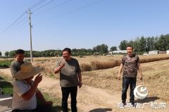  汝南县板桥乡“三夏”督导宣传秸秆禁烧