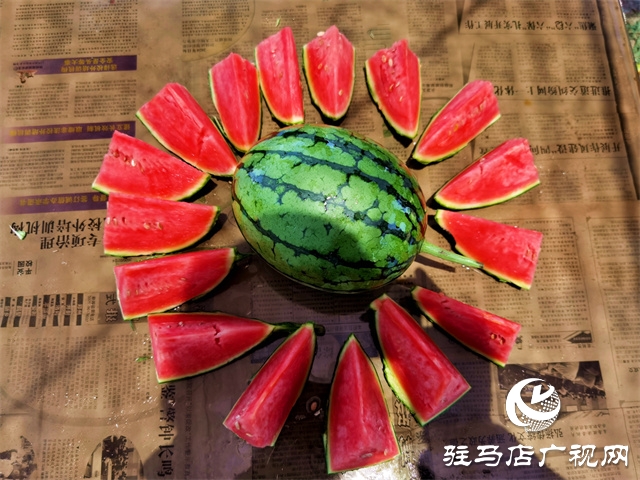  驿城区朱古洞乡小西瓜铺就甜蜜路