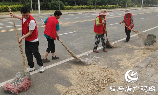 西平：志愿者服务队深入田间地块助力“三夏”生产暖民心
