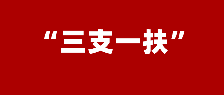 通知！“三支一扶”计划来了！