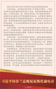 习近平同芬兰总统尼尼斯托通电话
