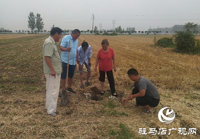 平舆县玉皇庙乡：耕地界线不清起争议 村委依法调解化积怨