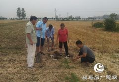平舆县玉皇庙乡：耕地界线不清起争议 村委依法调解化积怨