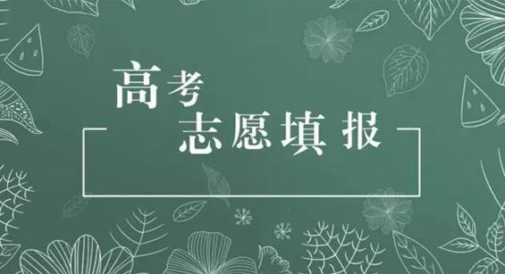 志愿填报这道难题咋解？来听高校招生负责人的解题思路
