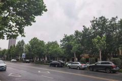 紧急提醒！河南进入降水集中期 这些安全防范措施千万要做好