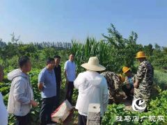 汝南县板店乡：全力推进农田水利设施排查整改