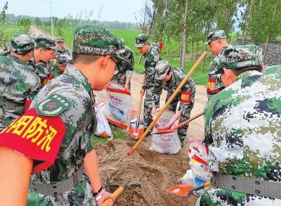 p15_b.jpg