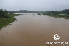 驻马店市中心城区相关部门迅速行动排涝除险