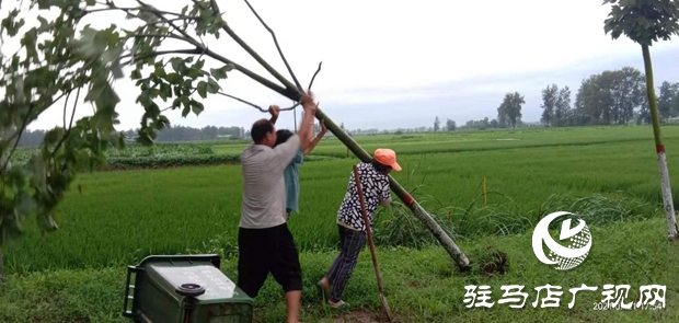 正阳县彭桥乡党员干部冒雨守护群众安全