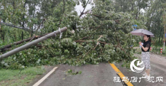 正阳县彭桥乡党员干部冒雨守护群众安全