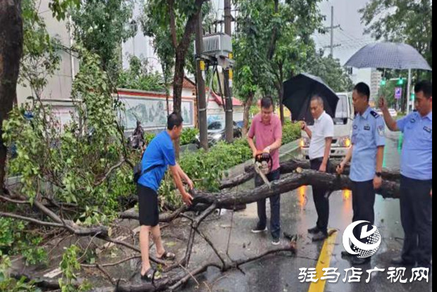 风雨刮倒树木成隐患 园林工人忙清理还道路畅通