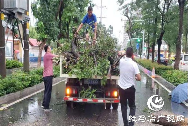 风雨刮倒树木成隐患 园林工人忙清理还道路畅通