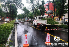 风雨刮倒树木成隐患 园林工人忙清理还道路畅通