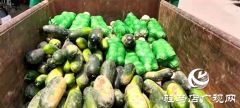 同舟共济 共克时艰！爱心企业捐赠蔬菜驰援新乡