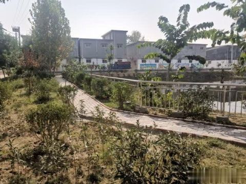 西平县五沟营镇紧急部署疫情防控工作