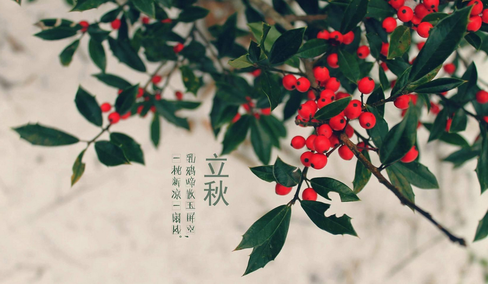 今日立秋 尚未出暑 闷热依旧