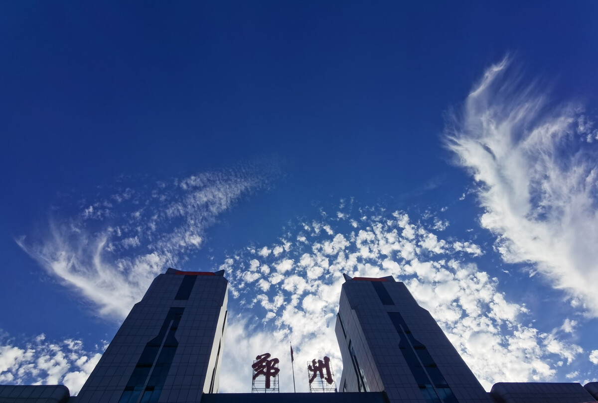 离郑证明到底该咋开？ 记者实探：多社区说法不一