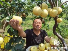 驿城区胡庙乡：开拓新兴产业 助力乡村振兴