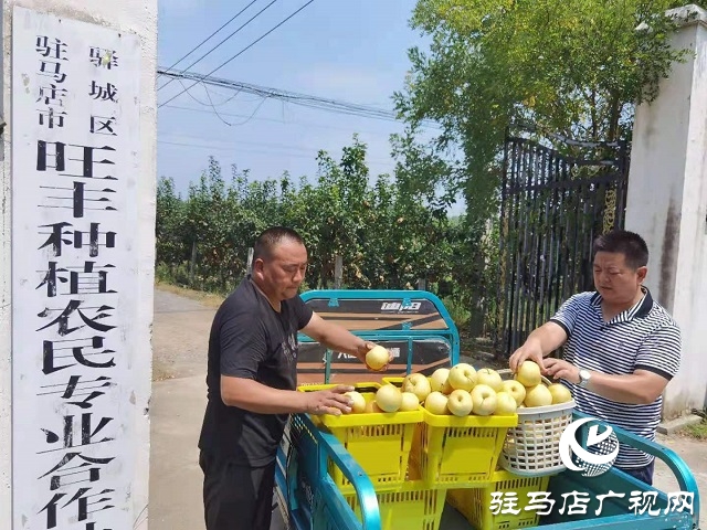 驻马店胡庙乡：开拓新兴产业 助力乡村振兴