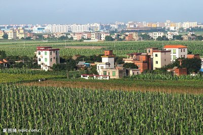 完善农村低收入人口就业帮扶