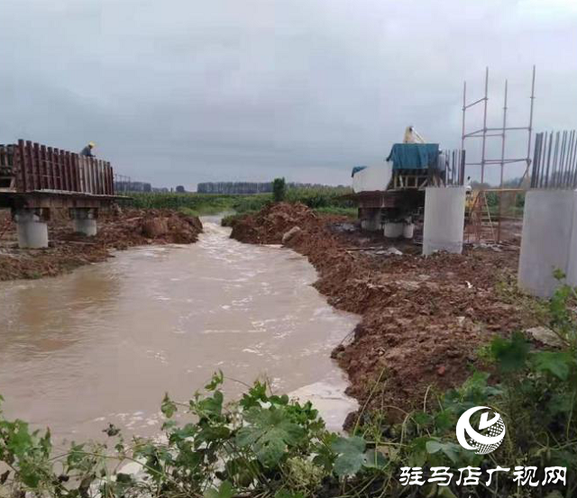 雨水倒灌庄稼地 紧急排涝解民忧