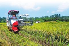 中国农民丰收节活动将于9月23日举行 一系列精彩活动抢先看