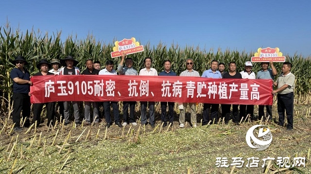 庐玉9105玉米青贮现场观摩会成功召开