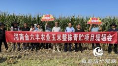 庐玉9105玉米青贮现场观摩会成功召开