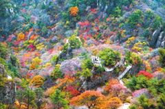秋天第一场旅行 遇见人间“调色板” “双节”临近，出游开始划重点了！