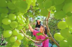 绘就中原“富春山居图”——乡村振兴五大行动计划系列解读之四