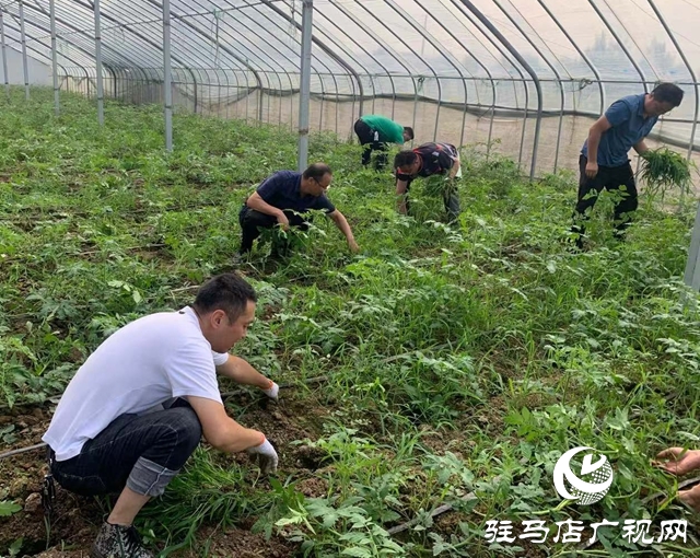 确山县双河镇：发挥干部作用 助力乡村振兴