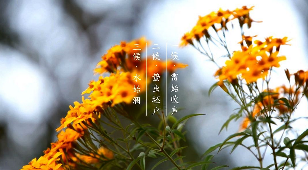 今日秋分｜燕将明日去 秋向此时分