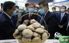 记者探会｜部长看的花菇是她种植的